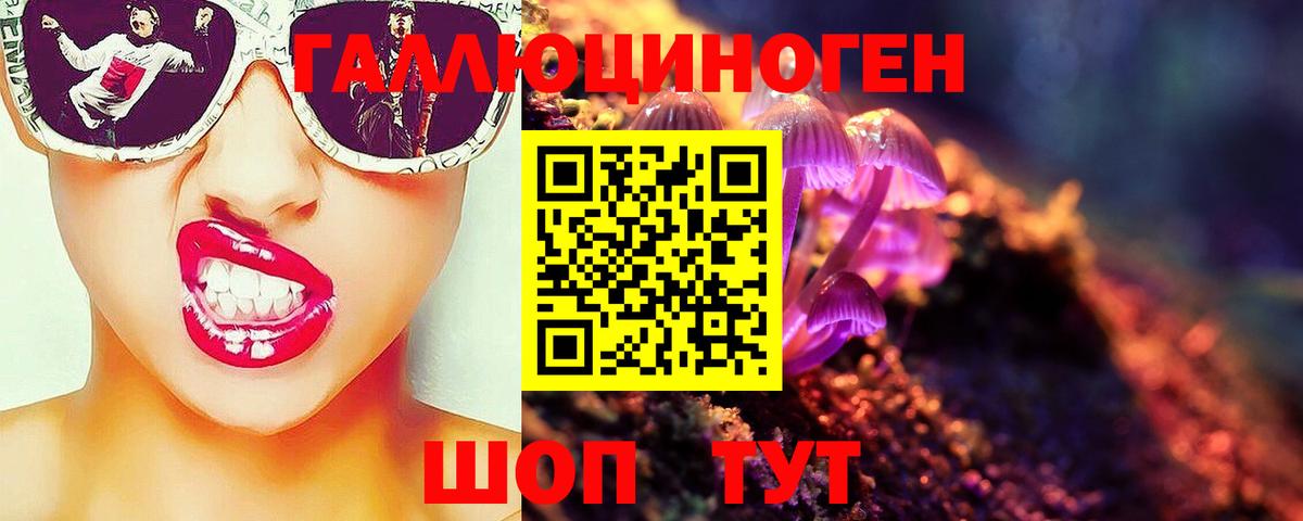 Галлюциногенные грибы Magic Shrooms  где продают   Нововоронеж  Вход с VPN 